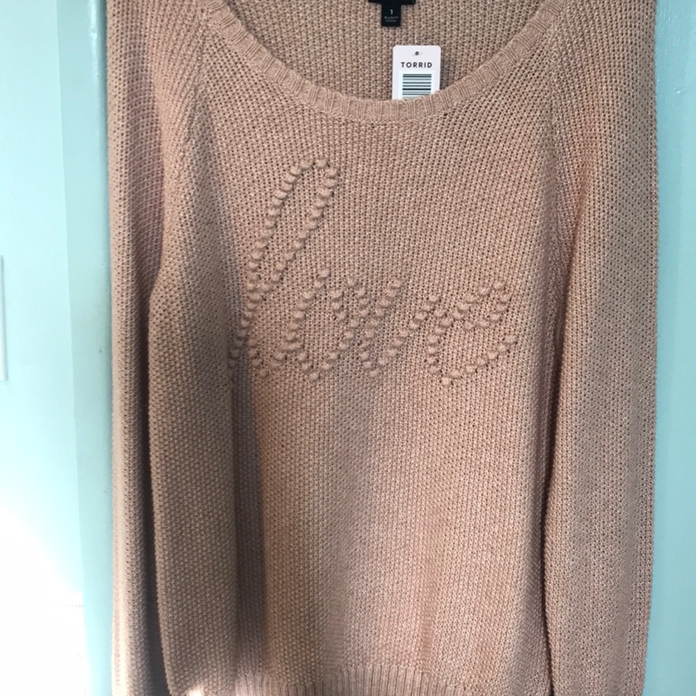 Torrid sweater